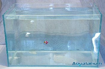aquatarium-3115.jpg