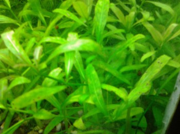 20140126_202758.jpg