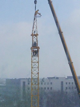 1390814153178.jpg