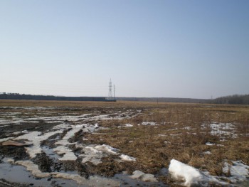 P3081001.JPG