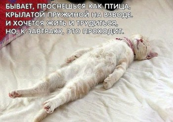 I842ZZc4ZDo.jpg