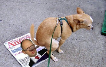 SveqUMnOL4U.jpg