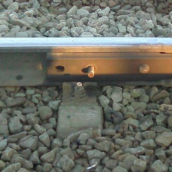 IMG00048.jpg