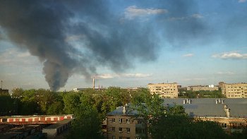 DSC_0320.JPG