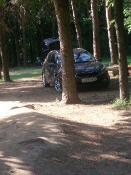 DSC_1106.jpg