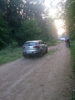 DSC_1184.jpg