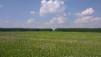 IMG-20140526-WA0000.jpg
