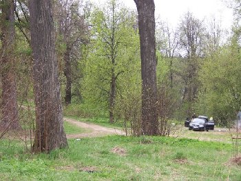 169663_600.jpg