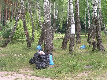 10550.jpg