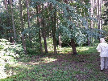 20140614_192147.jpg