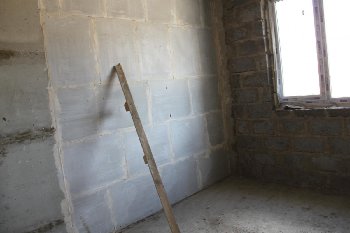 IMG_7336.JPG