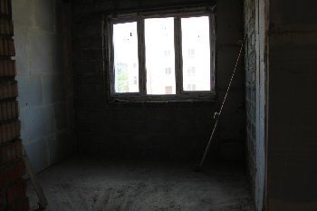 IMG_7335.JPG