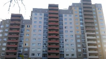 IMAG0785.jpg