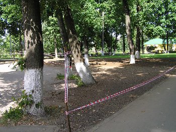 P7263535.JPG
