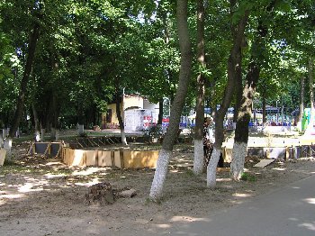 P7263533.JPG