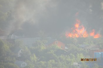 IMG_0007.JPG