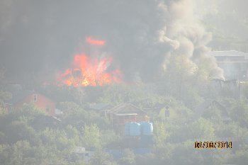 IMG_0006.JPG
