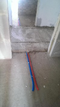 IMAG0434.jpg