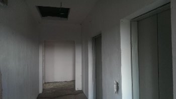 IMAG0438.jpg