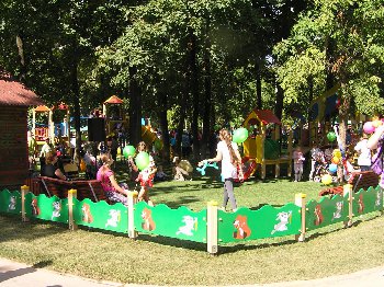 P8233762.JPG