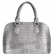1703-08-08CrocGry.JPG