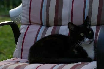IMGP0523.jpg
