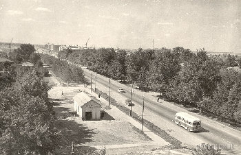 3647.jpg