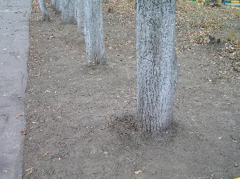 PA284208.JPG