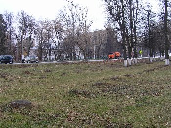 PB014265.JPG