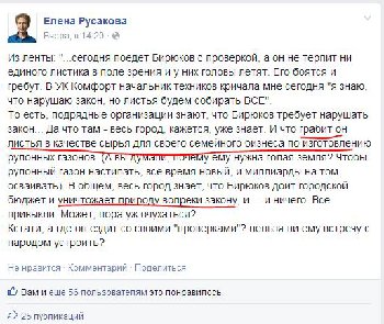 листья.JPG