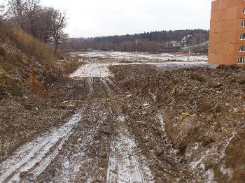 DSC_3447.JPG