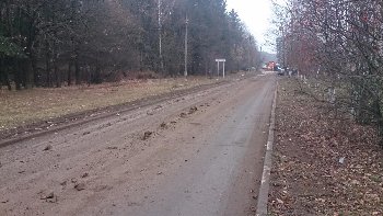 DSC_0860.JPG