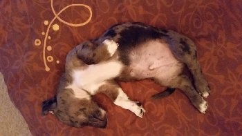 20141114_210030.jpg