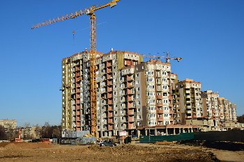 DSC_0466.JPG