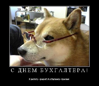 ШИБА-БУХГАЛТЕР.jpg