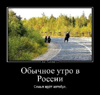 img_356964748_79665_1.jpg