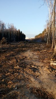 В сторону Кузнечиков