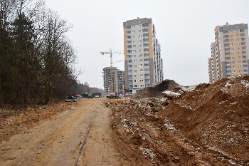 DSC_0529.JPG