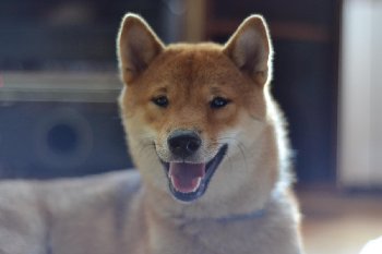 DSC_0043.JPG