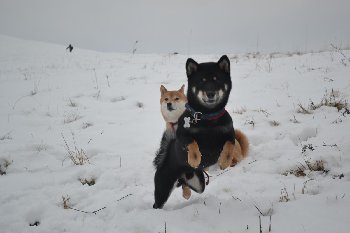 DSC_0468.JPG