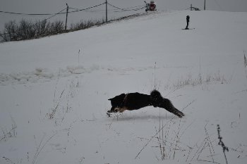 DSC_0055.JPG