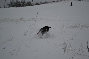 DSC_0085.JPG