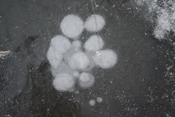 DSC_0008.JPG