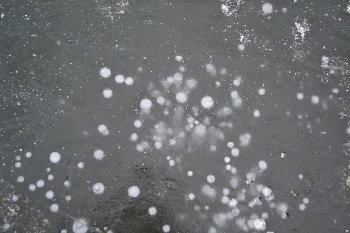 DSC_0009.JPG