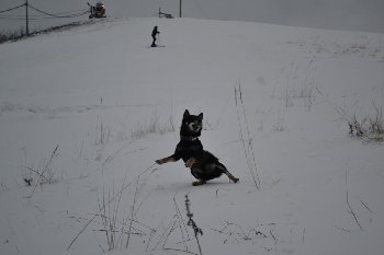 DSC_0051.JPG
