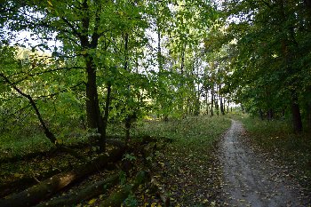 DSC_0119.JPG