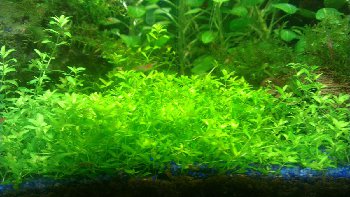 IMAG0646.jpg