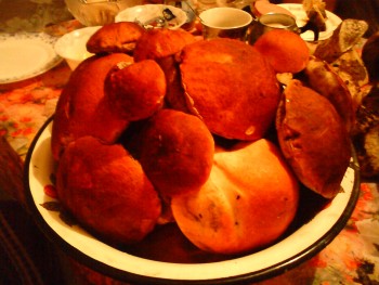 DSC00353.jpg