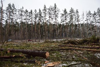 23.02.2015