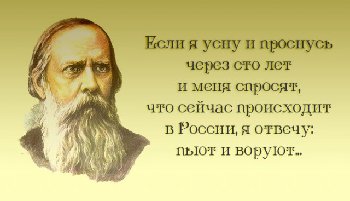 4990701.jpg